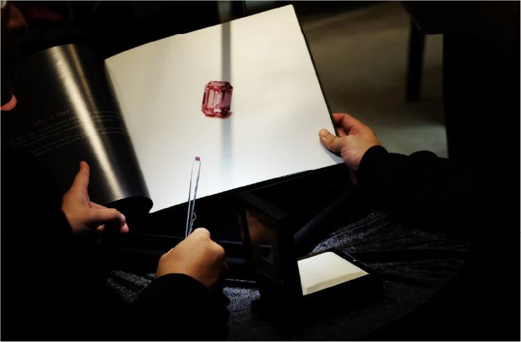 阿蓋爾紅鑽盤商聯展 Argyle Red