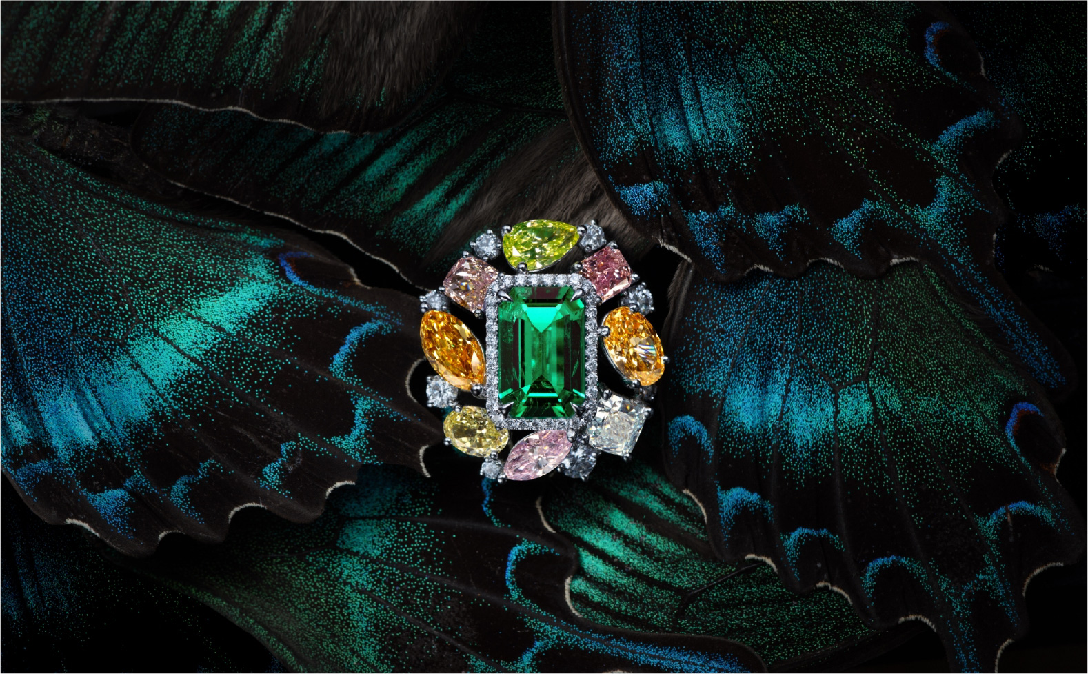 藍鑽界中的法拉利